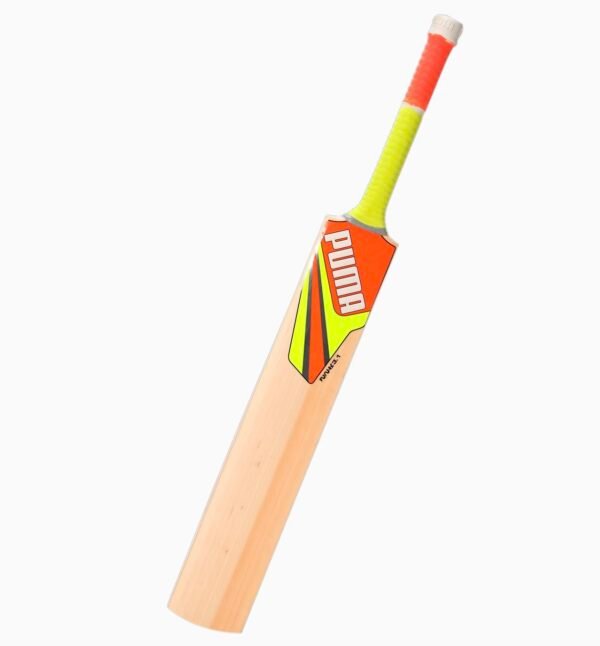 Puma Future 3.0 English Willow Bat - SH